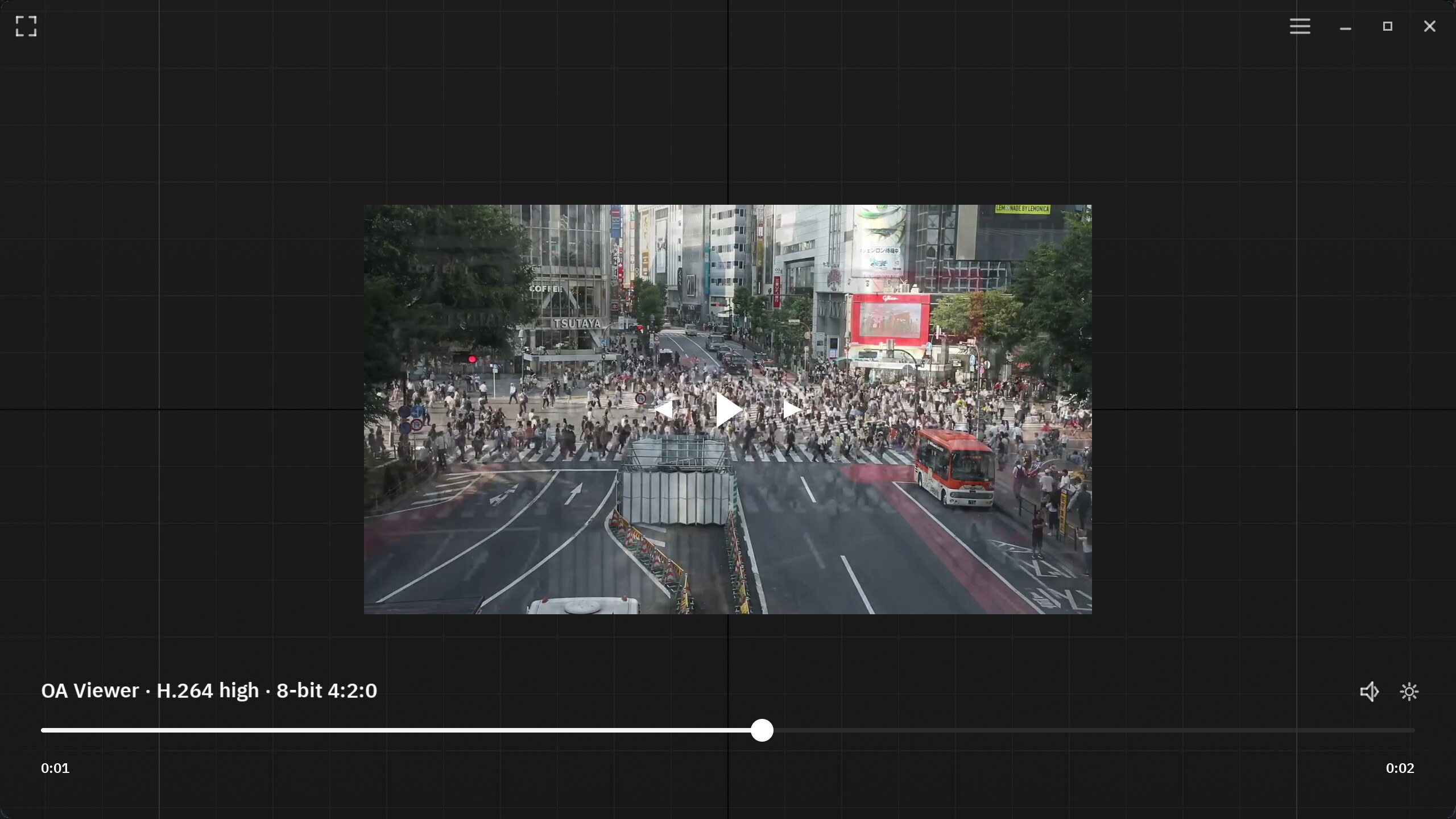OA Viewer video canvas